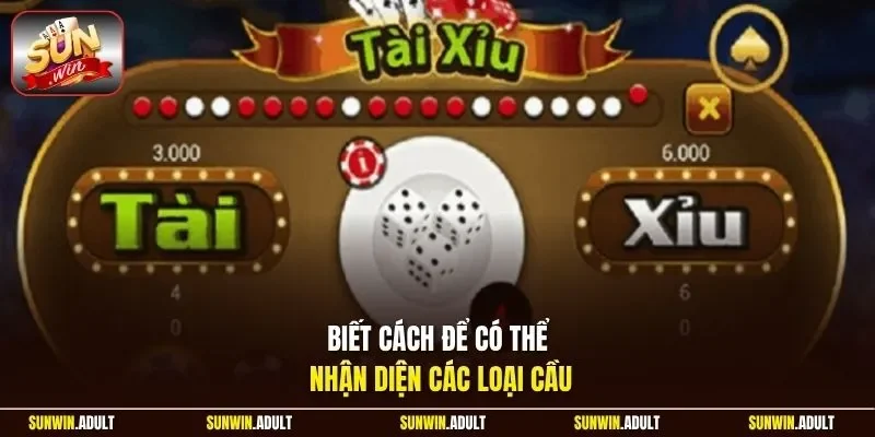 Biết cách để có thể nhận diện các loại cầu