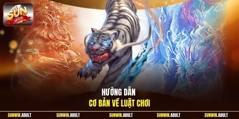 Hướng dẫn cơ bản về luật chơi